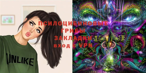 дурь Алексин