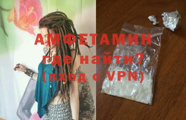 стаф Алзамай
