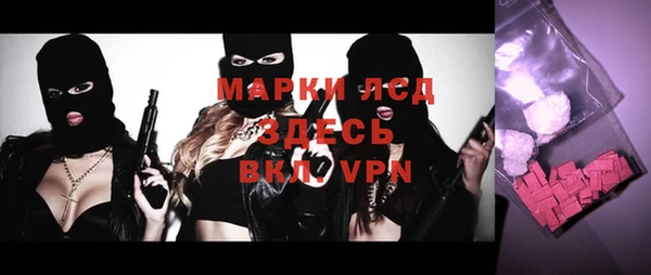 стаф Алзамай