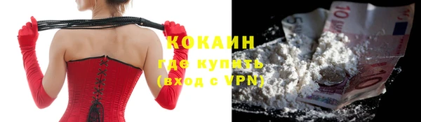 стаф Алзамай