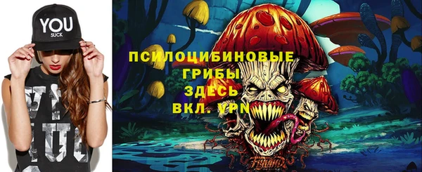 стаф Алзамай