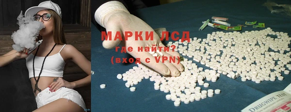 стаф Алзамай