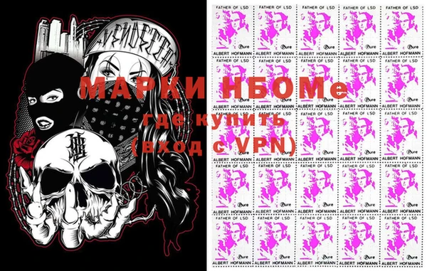 стаф Алзамай