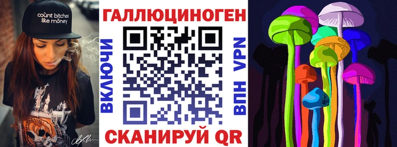 Галлюциногенные грибы Psilocybe  Зеленоградск 